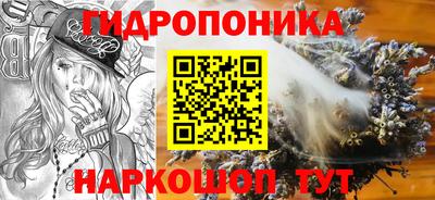 apvp Краснознаменск