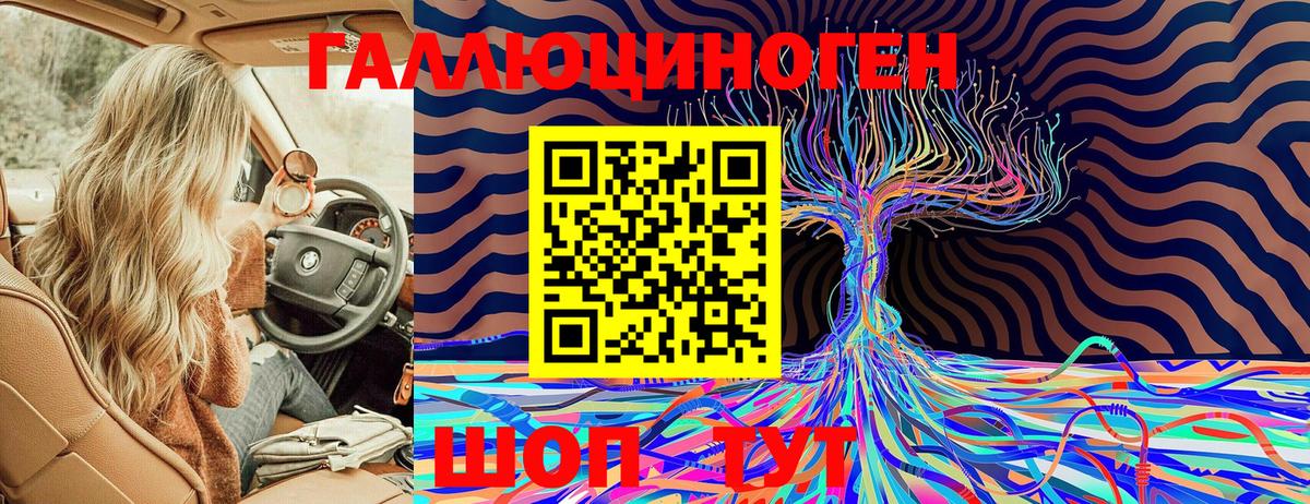 Галлюциногенные грибы GOLDEN TEACHER  Вход с VPN  Тосно 