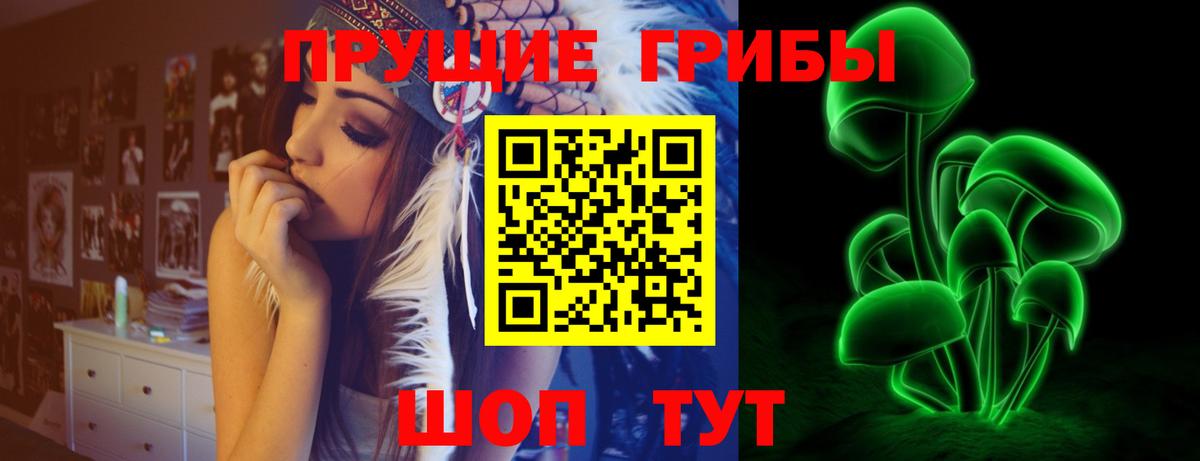 Псилоцибиновые грибы GOLDEN TEACHER Тосно