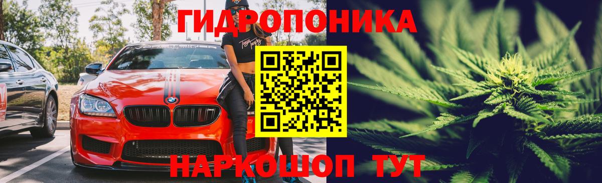 Тосно  Бошки Шишки планчик  Вход с VPN  Бошки Шишки сатива  Марихуана VHQ 